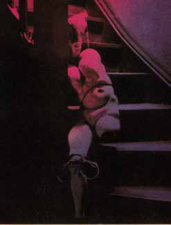 Abbildung 2: Aus der Serie „die Spiele der Puppe“ align=