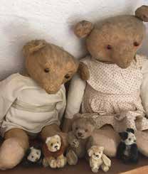 Teddybaeren