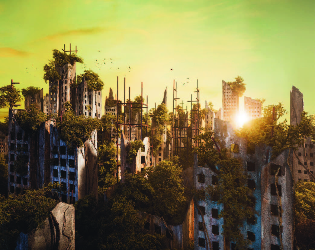 Abbildung 5 (Dawn)